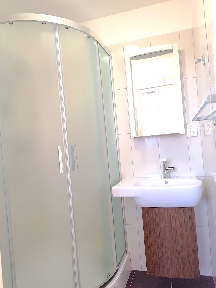 Pronájem bytu 1+1 43 m² – fotografie 3