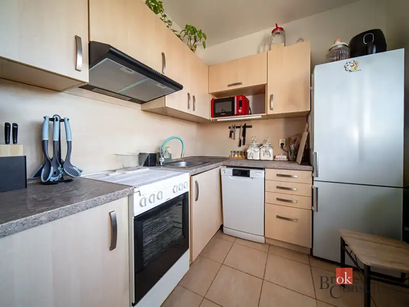 Pronájem bytu 2+1 55 m², Ostrava – náhled fotky 1