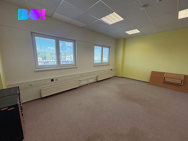 Pronájem komerčního prostoru, 960 m² (12 z 14)