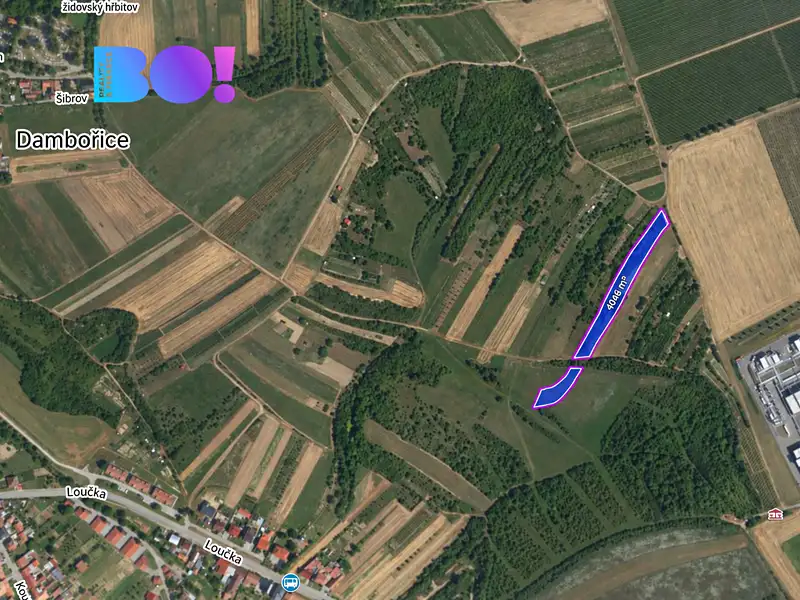 Prodej pole 4046 m², Dambořice – náhled fotky 1