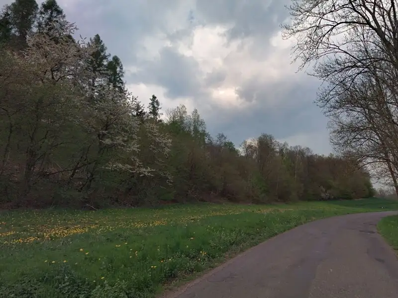 Prodej zahrady 17989 m², Snědovice – náhled fotky 2