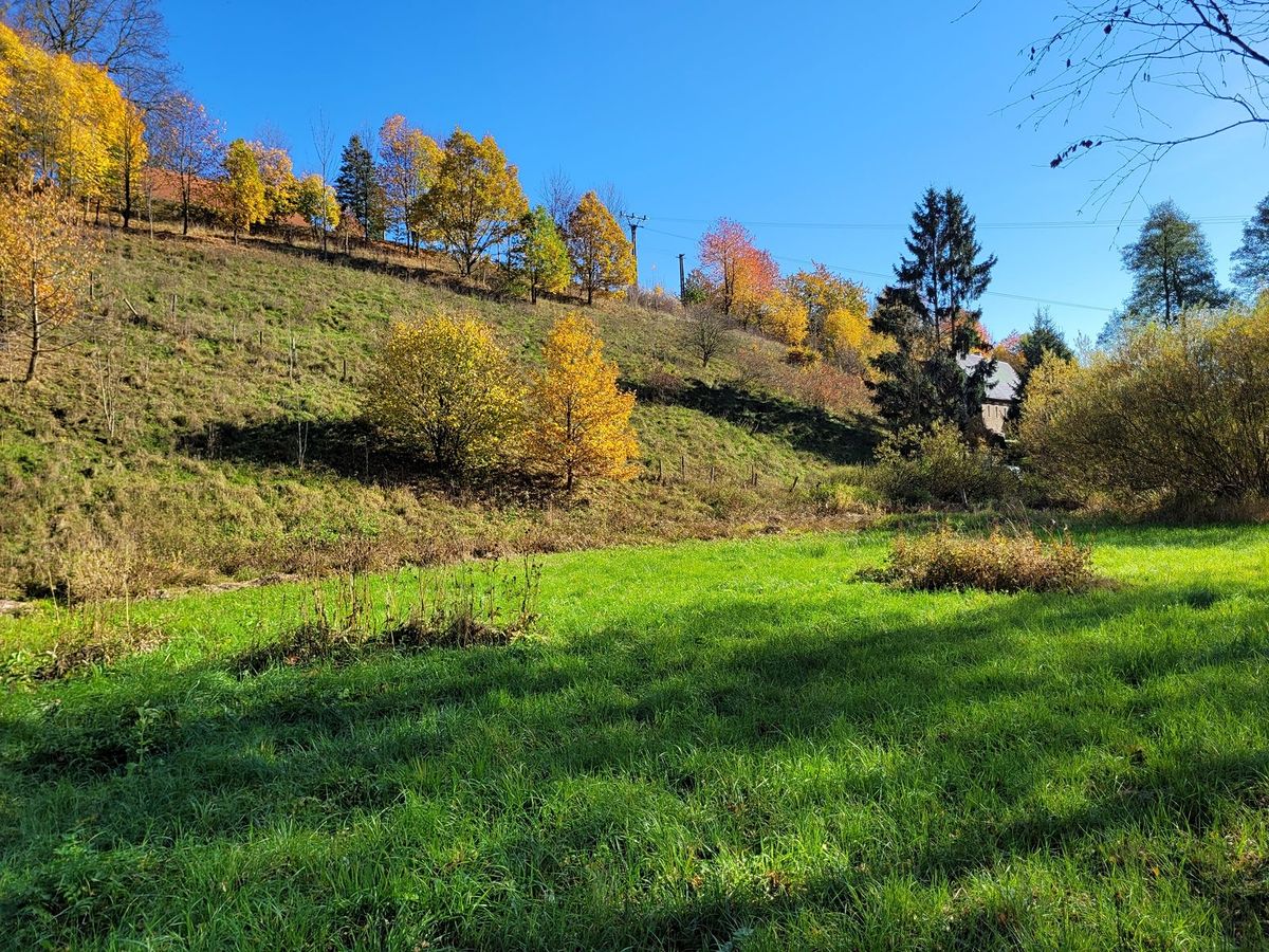 Prodej stavebního pozemku 4996 m² – fotografie 5