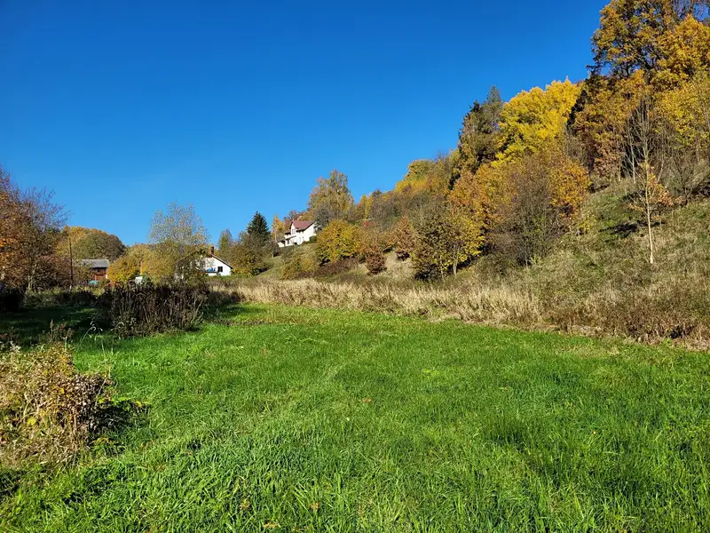 Prodej stavebního pozemku 4996 m², Heřmánkovice – náhled fotky 1