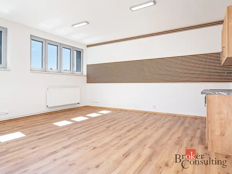 Pronájem kanceláře 80 m², Plzeň – náhled fotky 1