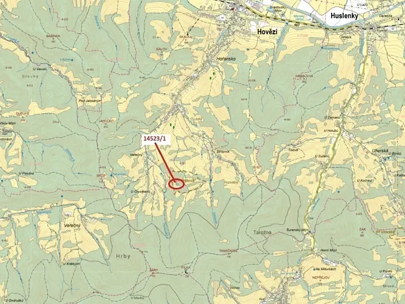 Dražba lesa 1547 m², Hovězí – náhled fotky 1