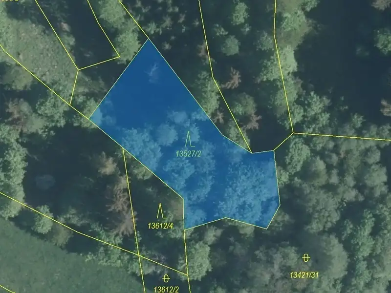 Dražba lesa 1230 m², Hovězí – náhled fotky 2