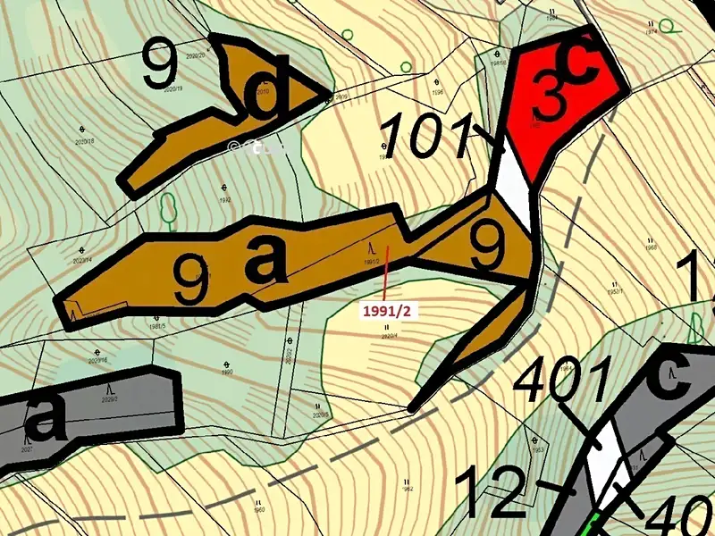 Dražba lesa 933 m², Hovězí – náhled fotky 3