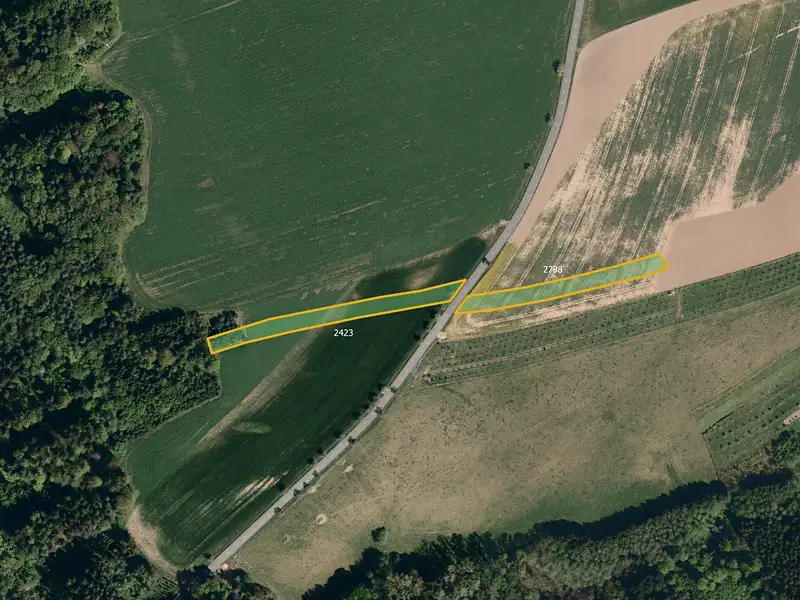 Prodej pole 19604 m², Loučka – náhled fotky 2