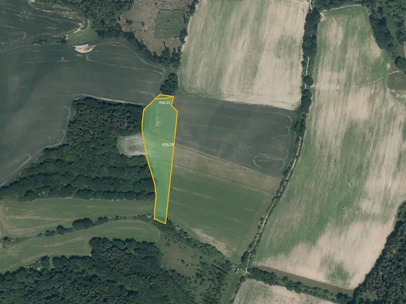 Prodej pole 13942 m², Chotýšany – náhled fotky 2
