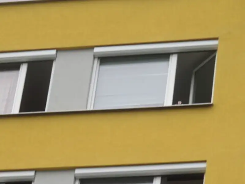 Dražba bytu 2+kk 43 m², Praha – náhled fotky 3