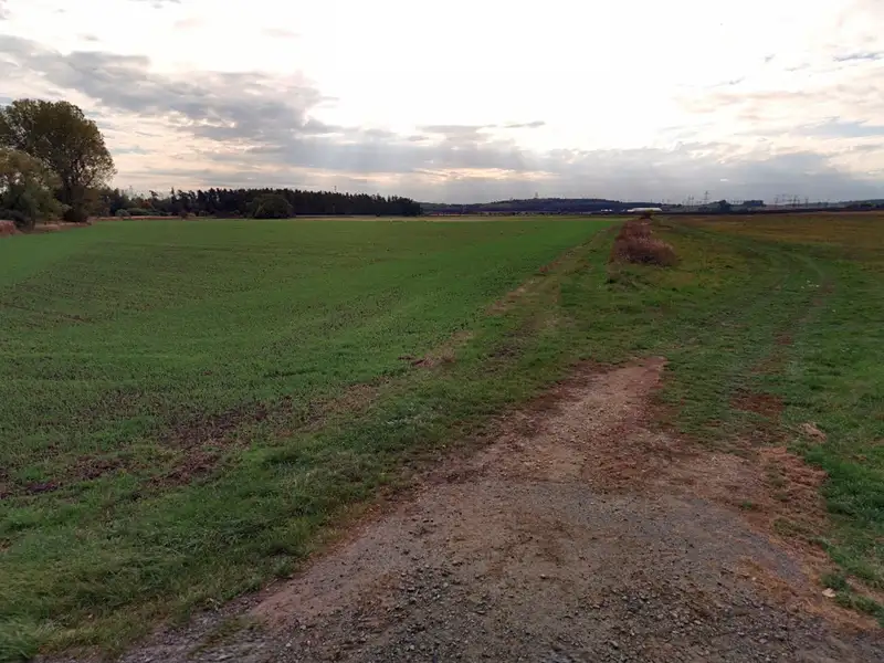 Prodej pole 3351 m², Krakovany – náhled fotky 2