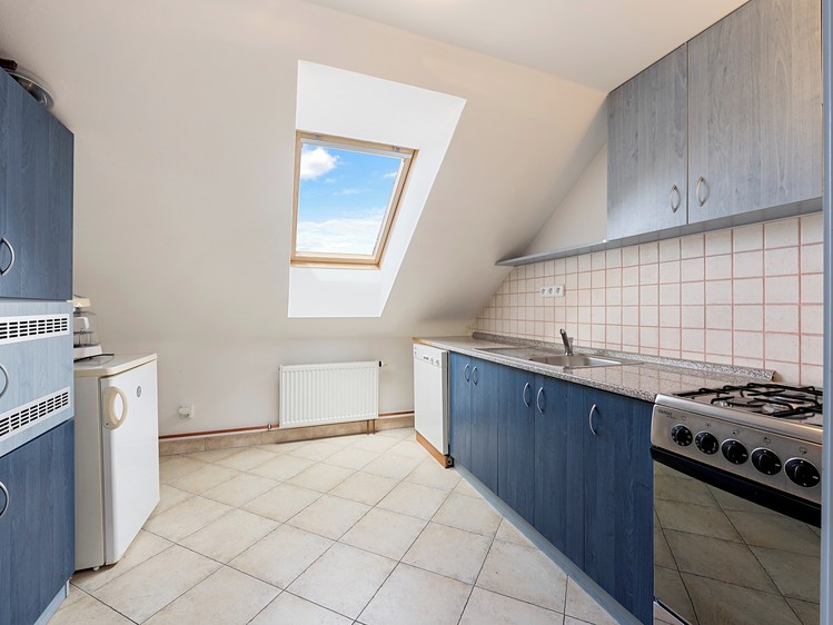 Prodej komerčního prostoru, 350 m² (15 z 23)