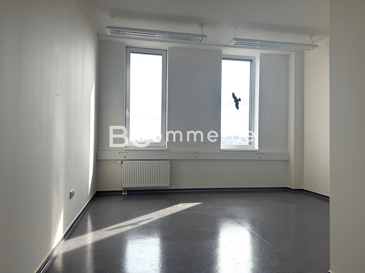 Pronájem kanceláře 18 m² – fotografie 3