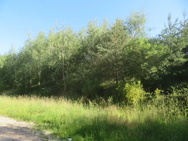 Dražba pozemku 860 m², Nové Strašecí – náhled fotky 1