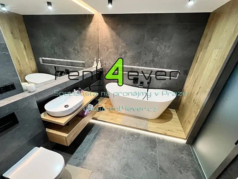 Pronájem rodinného domu 118 m², pozemek 521 m², Nová Ves pod Pleší – náhled fotky 3