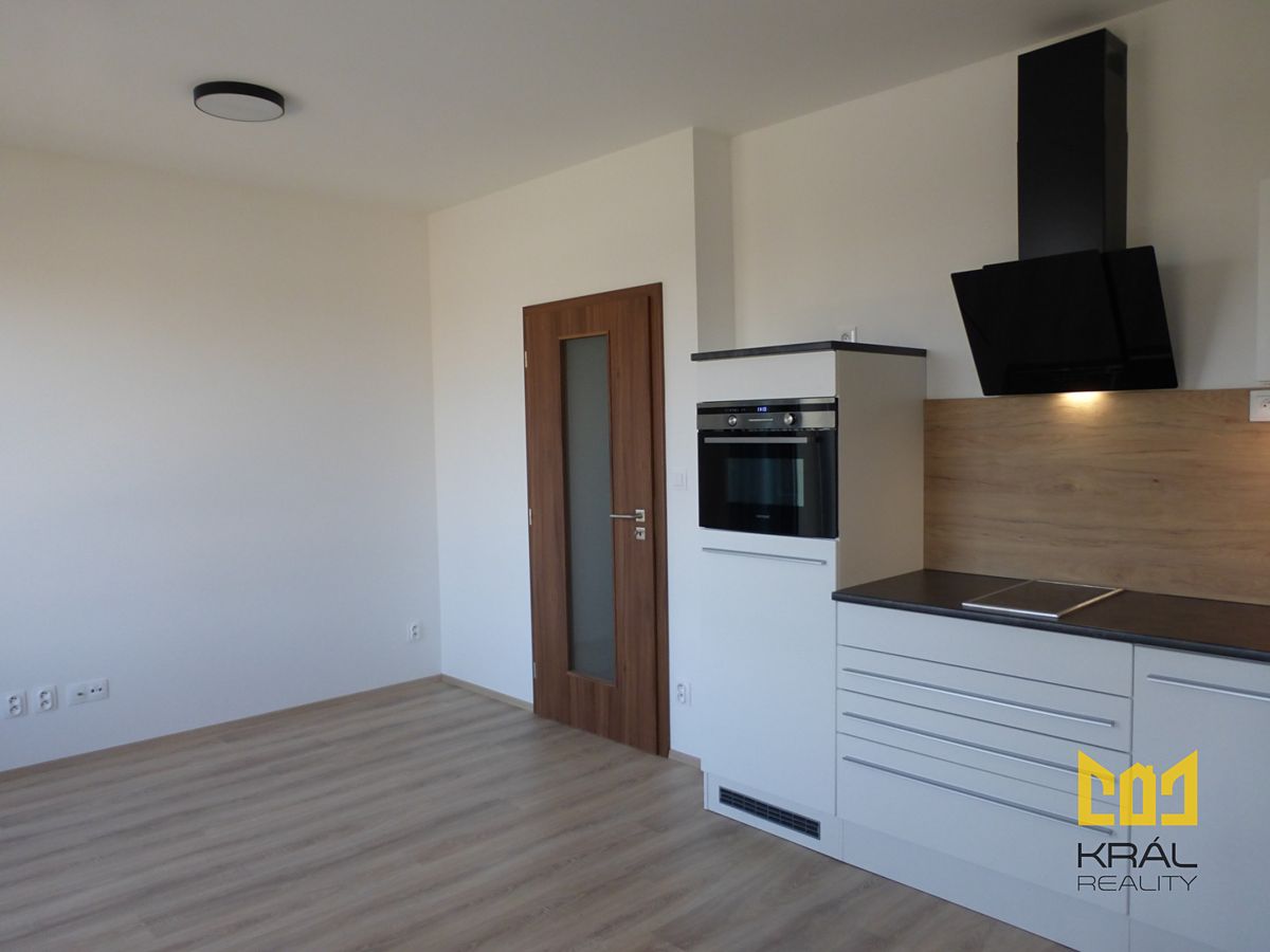 Pronájem bytu 1+kk 41 m² – fotografie 4