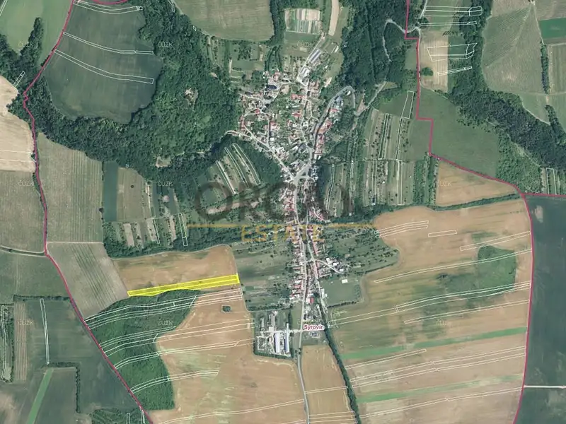 Prodej pole 5796 m², Syrovín – náhled fotky 2