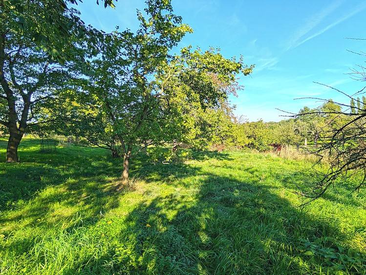 Haus zum Kauf, 216 m² (34 von 35)