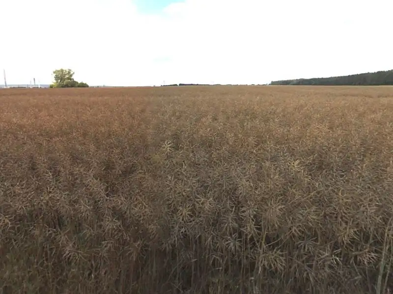 Prodej pole 18625 m², Liběchov – náhled fotky 3