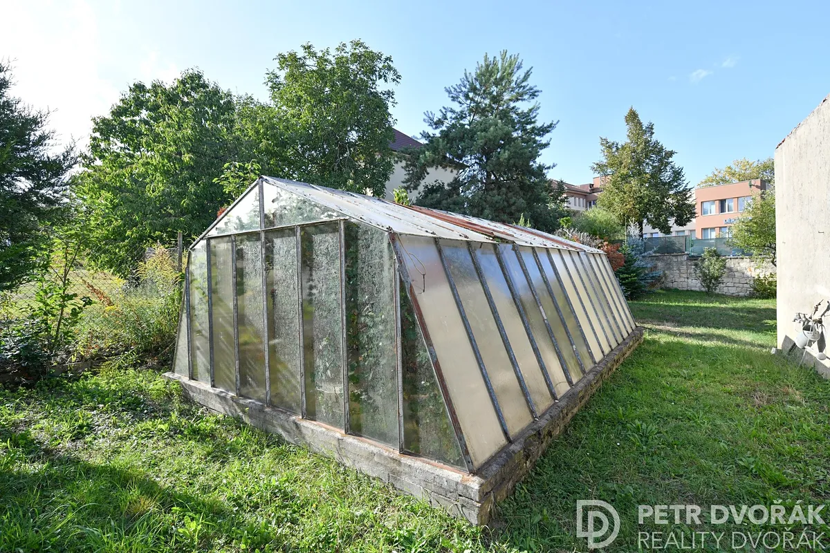 Fotka 10 z 29