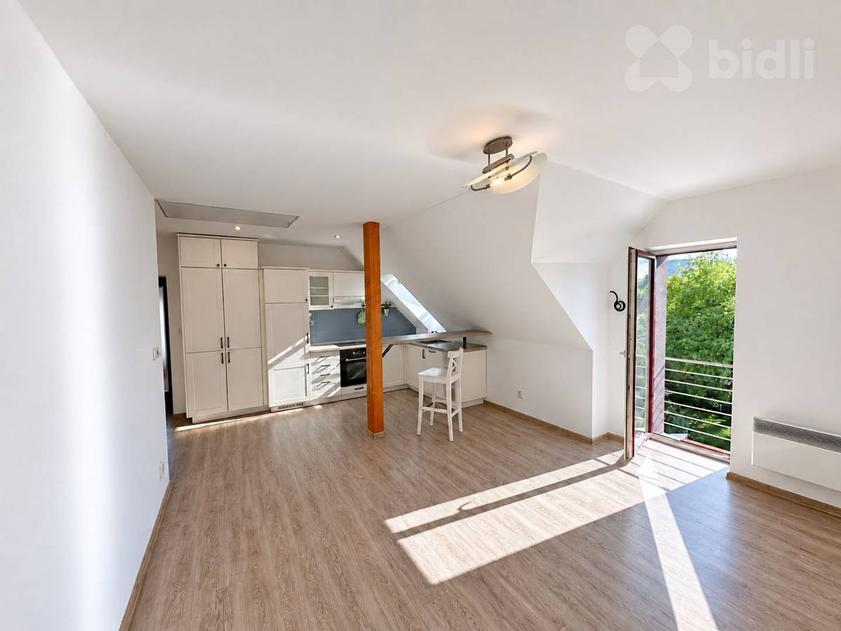 Pronájem bytu 2+kk 58 m²