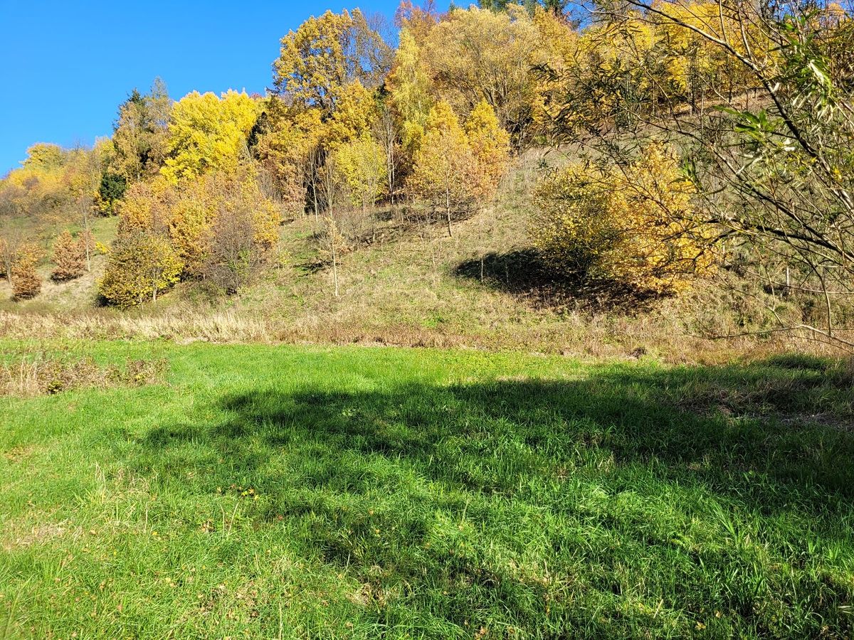 Prodej stavebního pozemku 4996 m² – fotografie 3