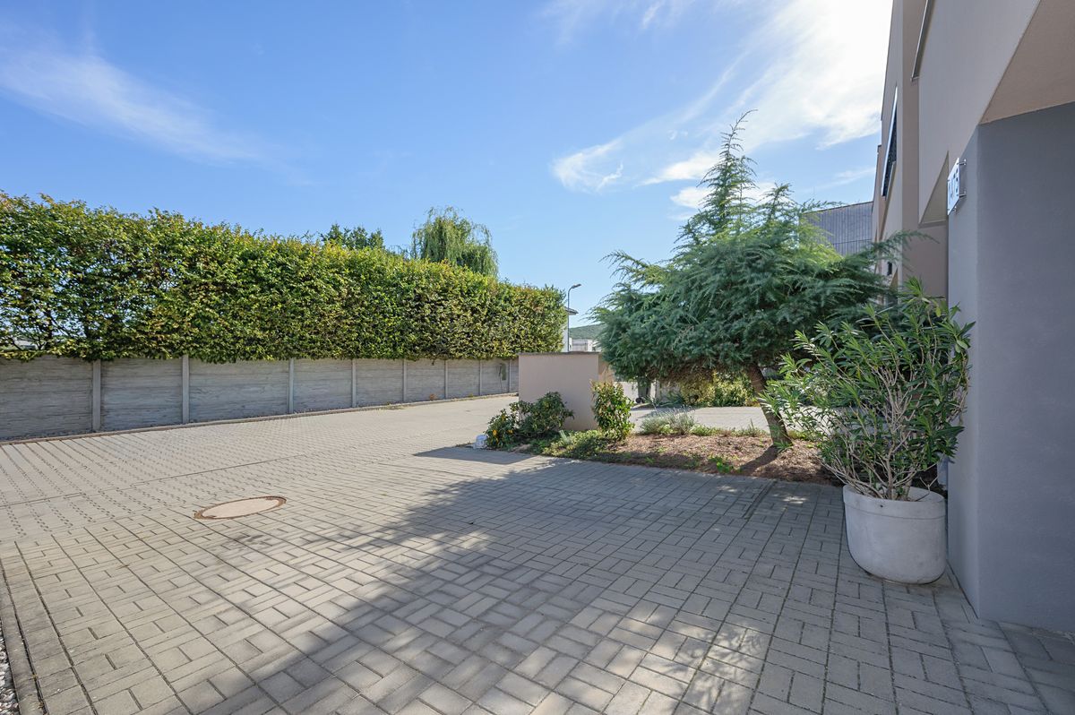 Prodej rodinného domu 135 m², pozemek 251 m² – fotografie 3