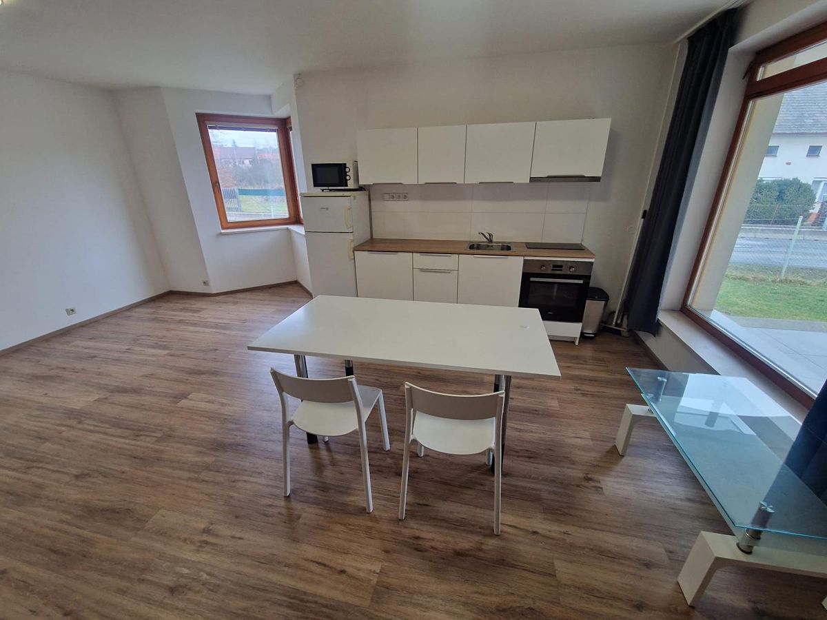 Pronájem bytu 1+1 46 m² – fotografie 2