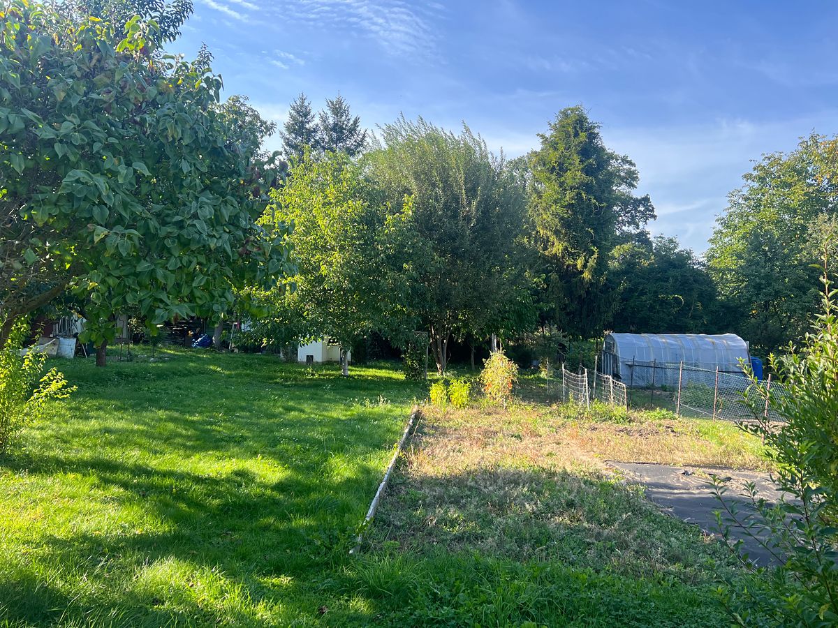 Prodej zahrady 770 m² – fotografie 3