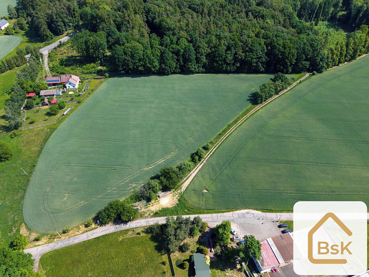Prodej pole 1000 m² – fotografie 3