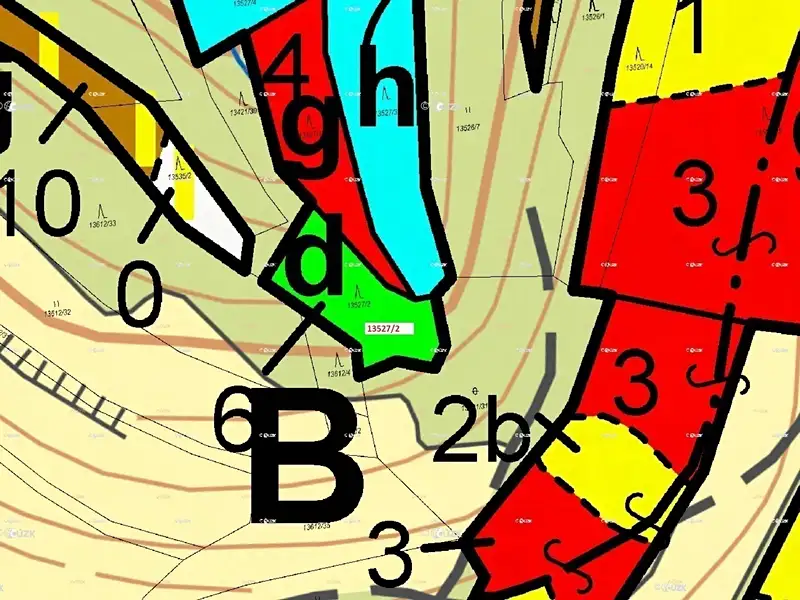 Dražba lesa 1230 m², Hovězí – náhled fotky 3