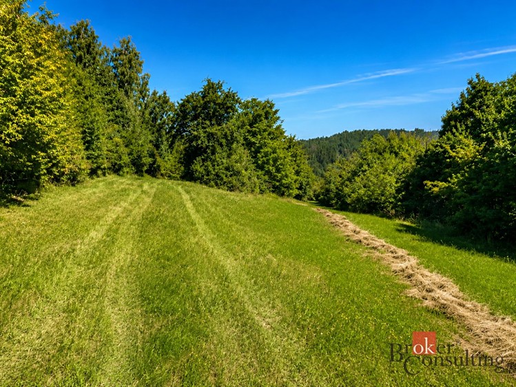 Grundstück zum Kauf, 3.075 m² (5 von 7)