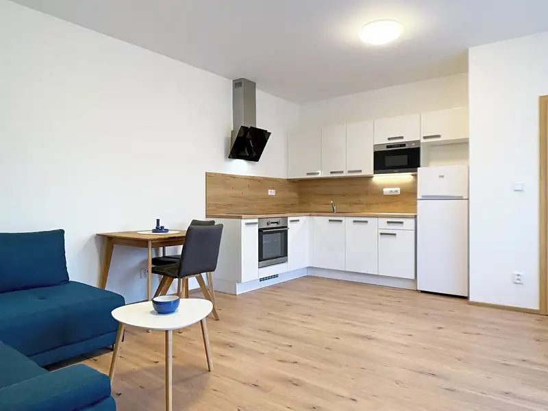 Pronájem rodinného domu 61 m², pozemek 283 m², Brno – náhled fotky 1