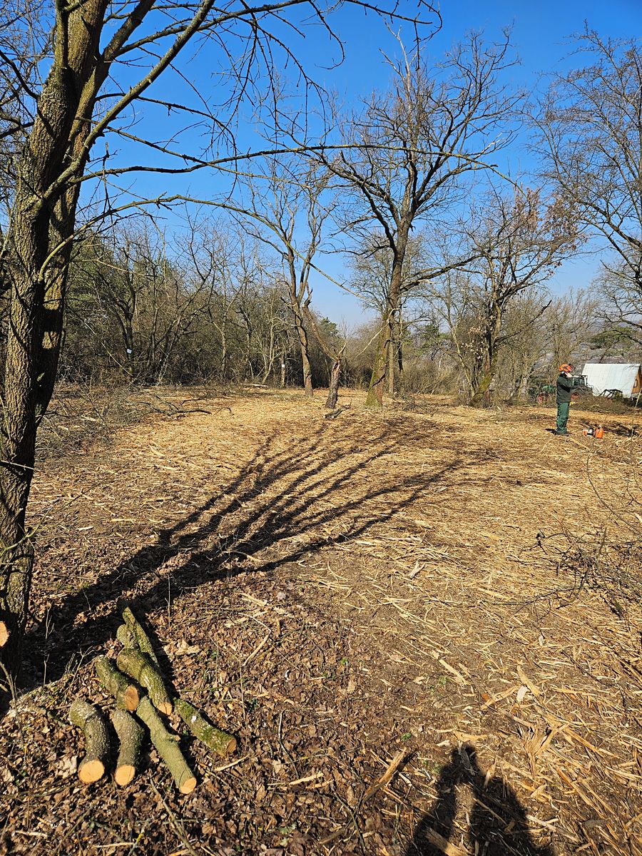 Prodej sadu, vinice 5128 m² – fotografie 2