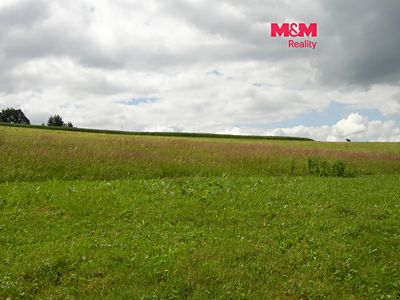 Prodej louky 4214 m²