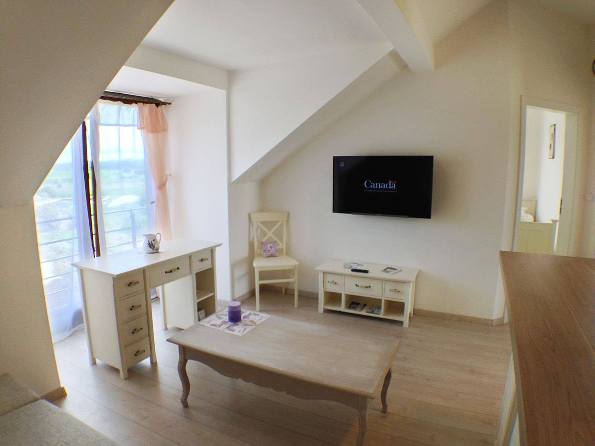 Pronájem bytu 3+kk 52 m² – fotografie 3