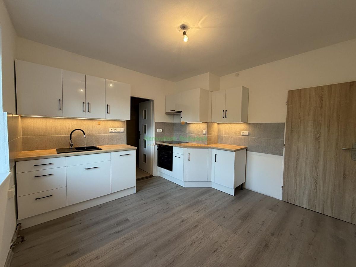 Pronájem bytu 1+1 48 m²