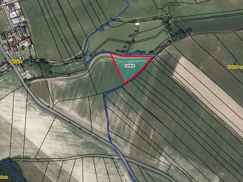 Prodej pozemku 5525 m², Bělušice – náhled fotky 1