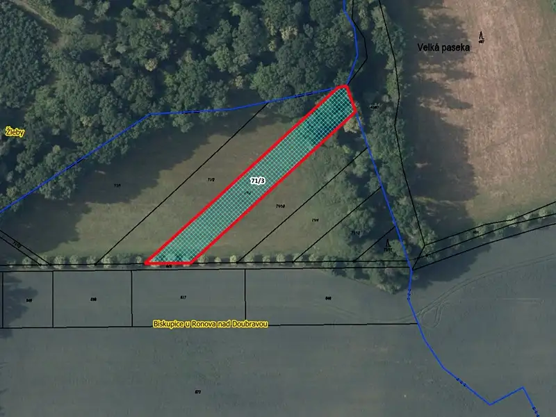 Prodej pole 2391 m², Biskupice – náhled fotky 1