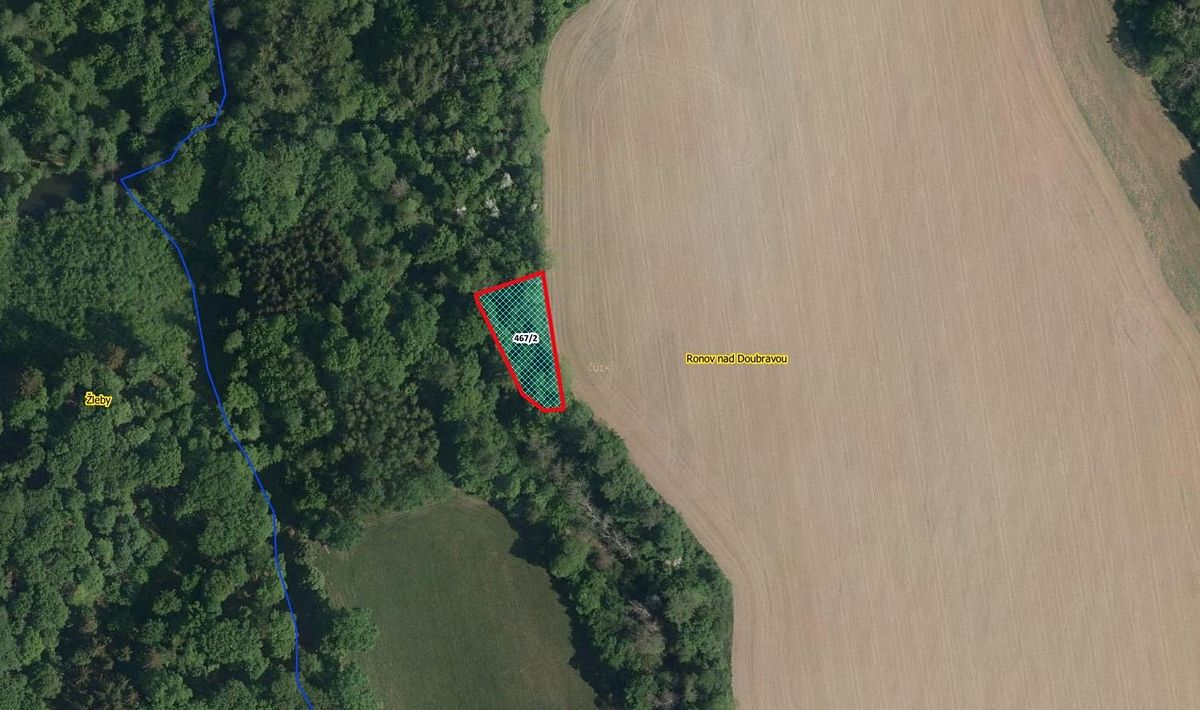 Prodej lesa 964 m², Ronov nad Doubravou – fotka 1 z 3