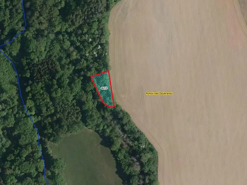 Prodej lesa 964 m², Ronov nad Doubravou – náhled fotky 1