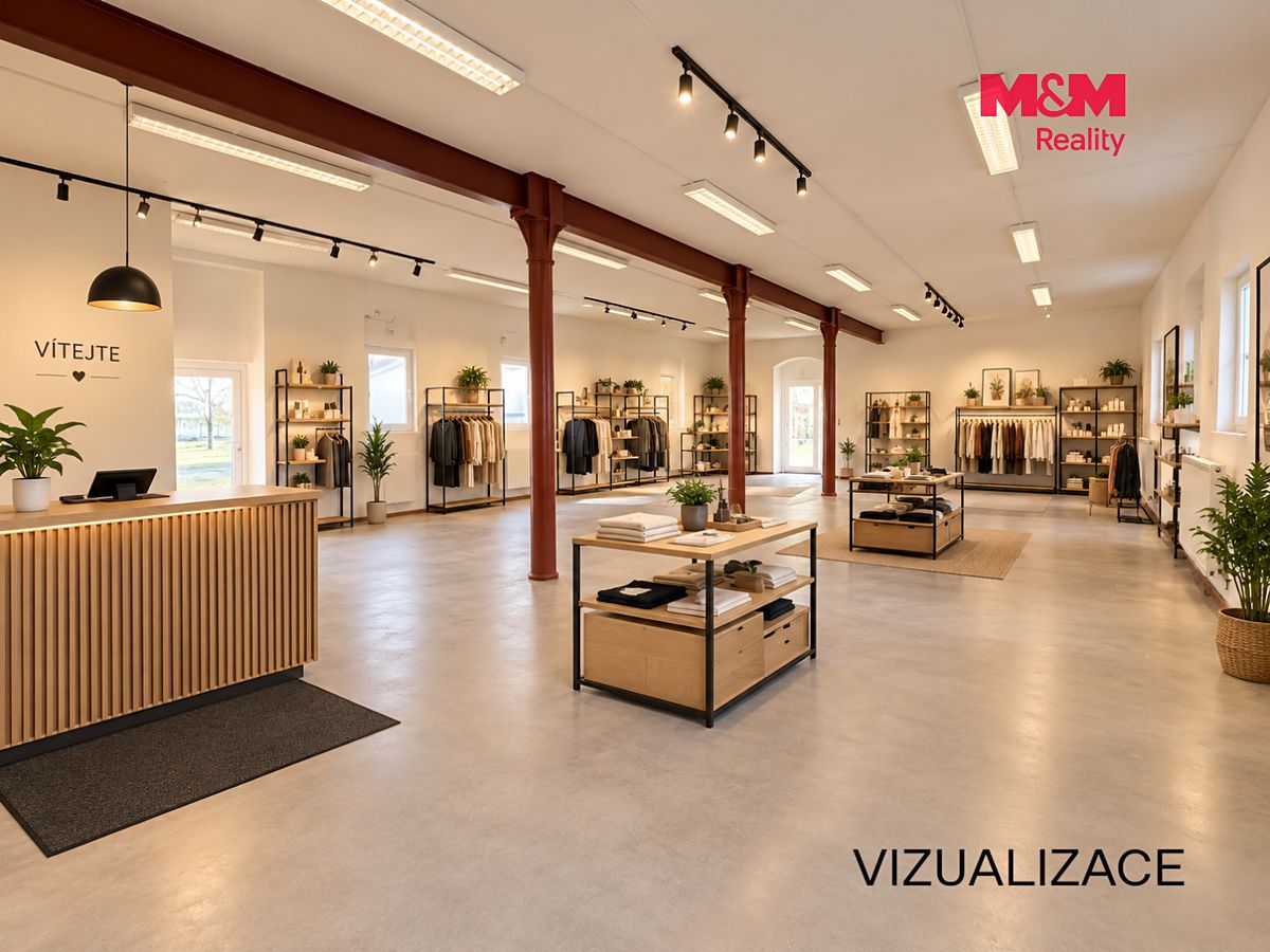 Pronájem obchodního prostoru 390 m² – fotografie 2