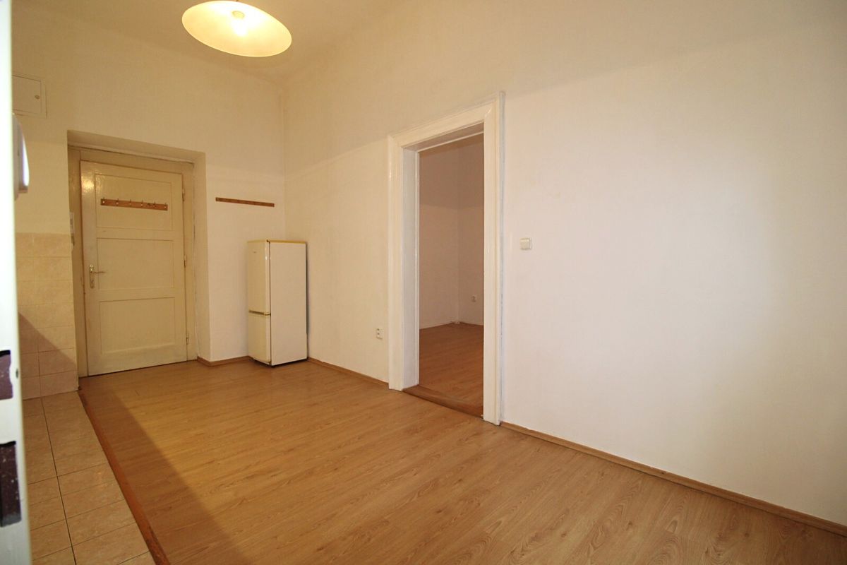 Pronájem bytu 1+1 40 m² – fotografie 3