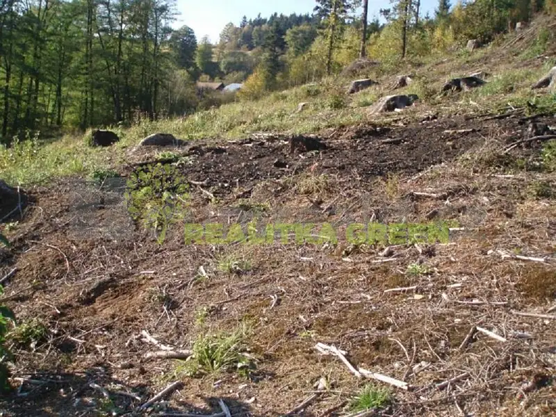 Prodej lesa 14279 m², Pozděchov – náhled fotky 1