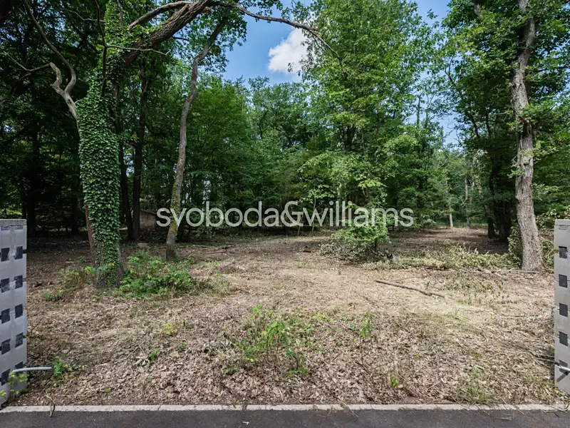 Prodej stavebního pozemku 2810 m², Hradištko – náhled fotky 2