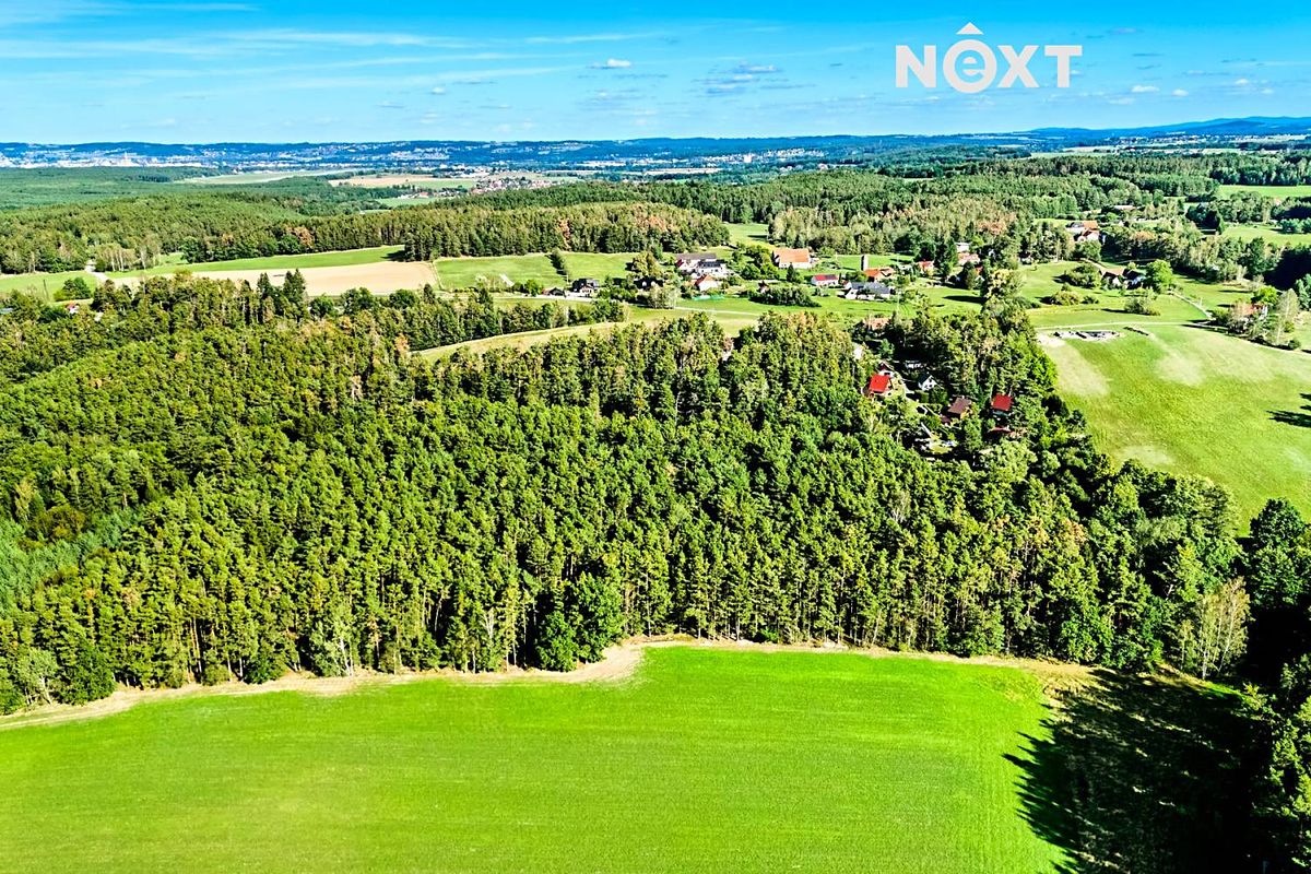 Prodej lesa 13404 m², Lipí – fotka 1 z 3