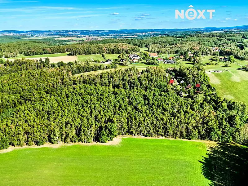 Prodej lesa 13404 m², Lipí – náhled fotky 1