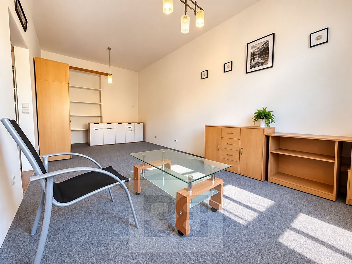 Pronájem bytu 1+1 38 m² – fotografie 4