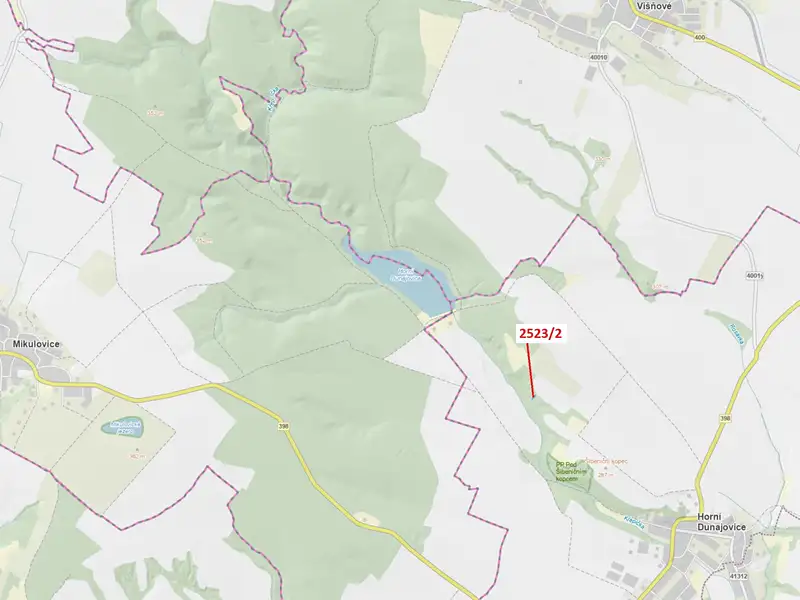 Dražba lesa 406 m², Horní Dunajovice – náhled fotky 1