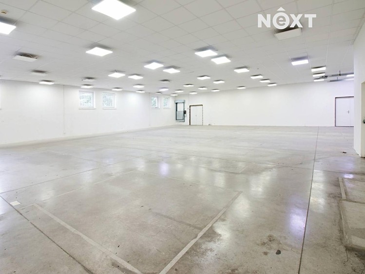 Pronájem komerčního prostoru, 3 100 m² (24 z 36)